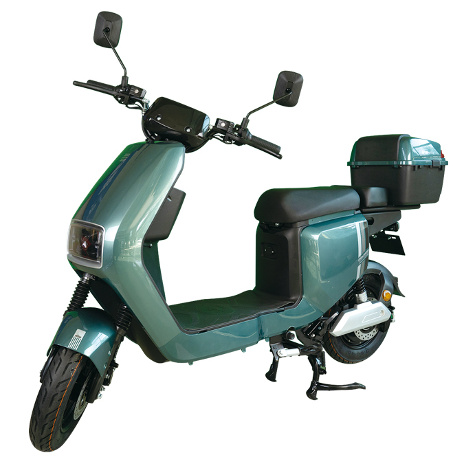 Electric motorcycle styles