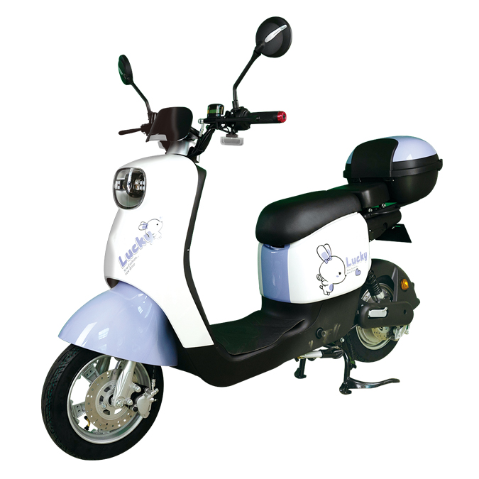 Electric motorcycle style